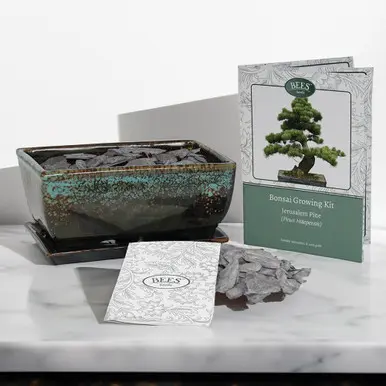 Bonsai Growing Kit
